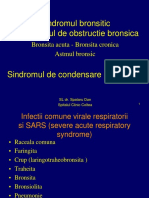 1. C3-Principalele Sindroame Respiratorii