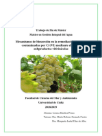 Mecanismos de Biosorcion en La Remediacion de Aguas Contaminadas Con El Uso de Subproductos Vitivinicolas