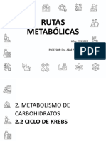 2.2 Ciclo de Krebs