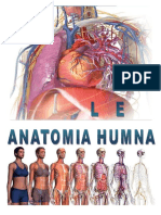 Manual de Anatomia en Word