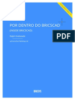 InsideBricsCADV16 PT BR