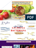 Microorganismos Importantes en Microbiologia de Alimentos - Bacterias