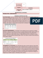 Pruebas de Los Carbohidratos