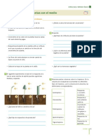 2°3RA UNIDAD Como Se Relacionan Las Plantas