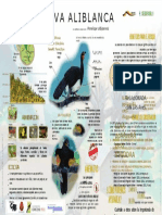 PDF Infografia Pava Aliblanca Jun 2016