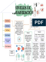 Niveles de Organización