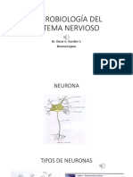 2.NEUROBIOLOGÍA DEL SN