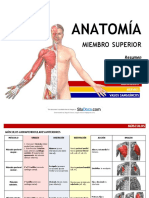 Anatomia Miembro Superior 2018 12 Paginas