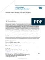 Pag. 295-300 Interpretación Asistida Por Computadora de Citologia Cervical