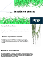 Reproducción en Plantas