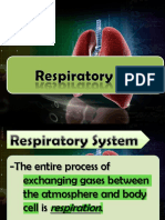 Respiratory System