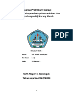 Laporan Praktikum Biologi Pengaruh Cahay