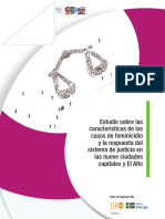 Estudio Sobre Las Características de Los Casos de Feminicidio y La Respuesta Del Sistema de Justicia en Las Nueve Ciudades Capitales y El Alto