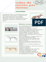 Métodos de Exploración Por Sistemas: Sistema Locmotor