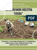 Informe Final Del Programa de Intervencion-falera Figueredo Danfir Sueto