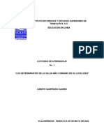 Actividad de Aprendizaje No. 1 "Los Determinantes de La Salud Más Comunes en Su Localidad"