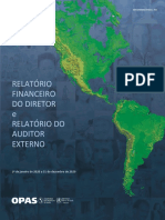 Relatório Financeiro Do Diretor e Relatório Do Auditor Externo