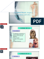 Semana 06 Anatomia Cavidad Bucal