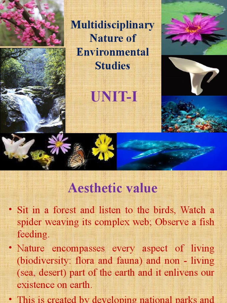 Understanding Eco-Tourism and Biodiversity | PDF | Biodiversity ...