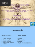 Apresentacao feminino 1