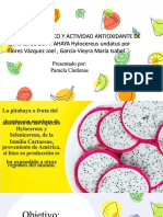 PDF Pitaya DL