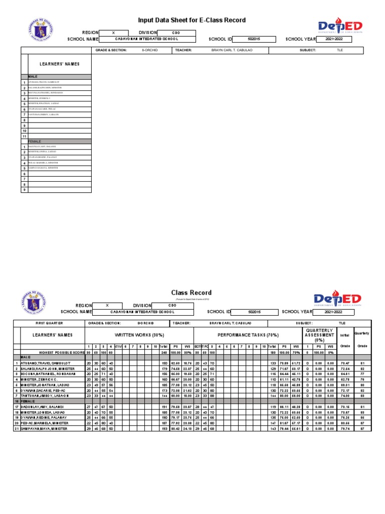 Input data sheet for e class record region division school name school