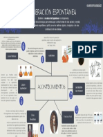 Mapa Conceptual - Generación Espontánea FNLSNT