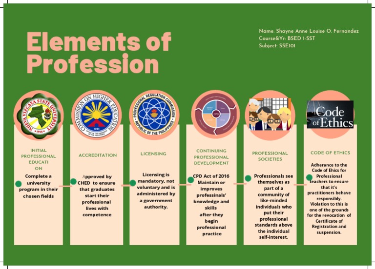 Elements of Profession - Sfernandez | PDF | Profession | Health Care