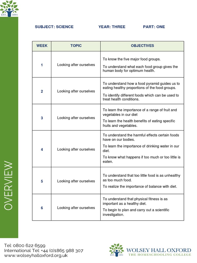 KS2 Science Y3 P1 Overview | PDF | Plants | Foods