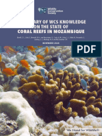 A Summary of Wcs Knowledge On The State of Coral Reefs in Mozambique