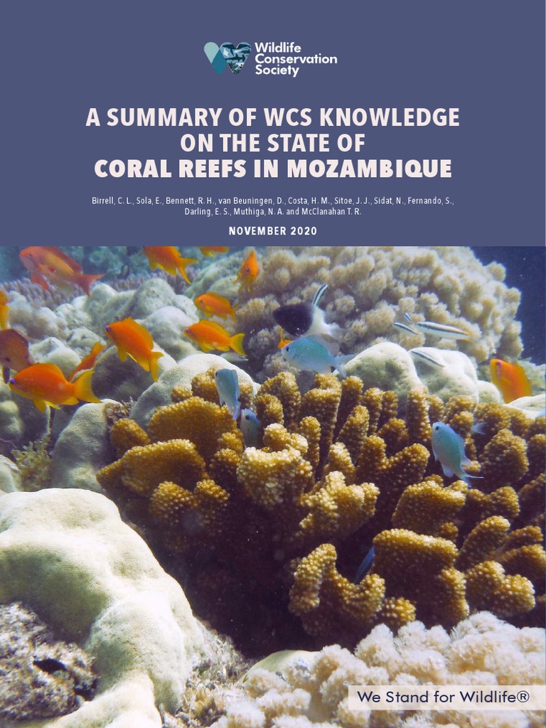 A Summary of Wcs Knowledge On The State of Coral Reefs in Mozambique ...