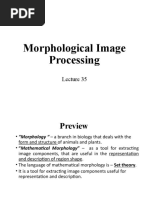 Lect35 Morphological Processing