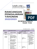 RPT SC Year 5 (DLP) 2022-2023