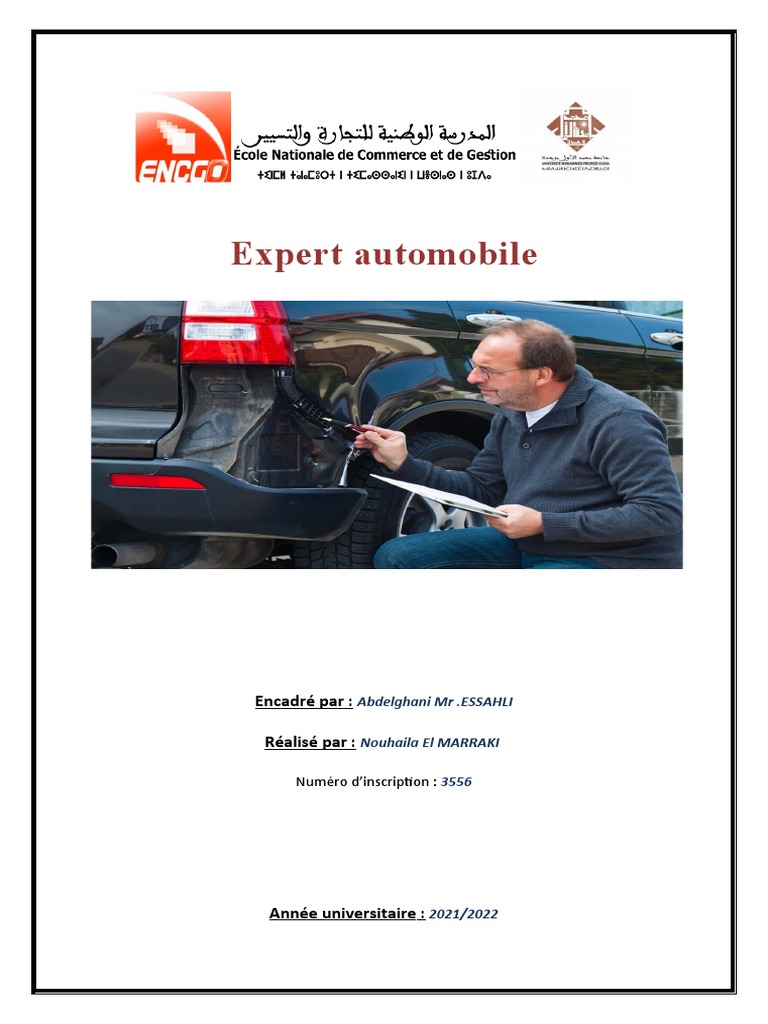 Devenir Expert Automobile : Guide Complet | PDF | Expert | Voitures
