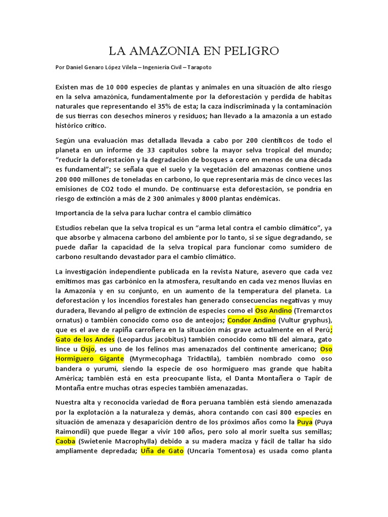 La Amazonía en peligro: amenazas a la biodiversidad y llamado a la ...