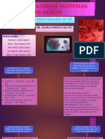 Determinación de Proteínas Totales en Sangre