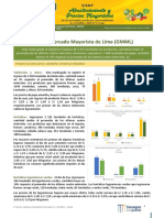 Gran Mercado Mayorista de Lima (GMML)