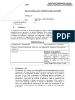 GUIA DE ANATOMÍA SESIÓN 11 Aparato Respiratorio