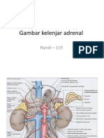 Gambar kelenjar adrenal