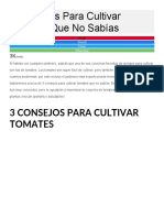 3 Consejos para Cultivar Tomates Que No Sabías