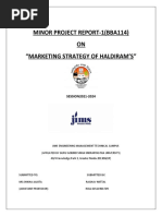 New Minor Project Report Haldiram's