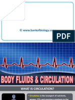 18 Body Fluids N Circulation - PPSX