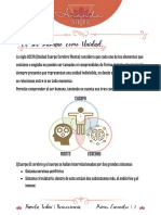 Unidad Cuerpo Cerebro Mente: Las tres mentes y la neuroplasticidad