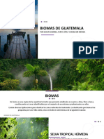 Biomas de Guatemala