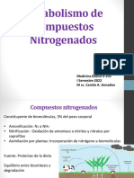 Metabolismo de Compuestos Nitrogenados (2)