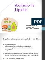 Metabolismo de Lipidos