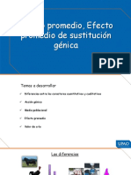 s5 - PPT - Efecto Promedio. Efecto Promedio de Sustitución Génica