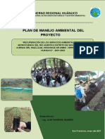 PlanManejoAmbiental-PIP HUERTAS 2021