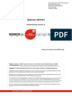 Quercus Skinneri: Assessment By: Jerome, D