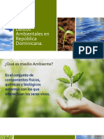Delitos Ambientales en República Dominicana (Autoguardado)